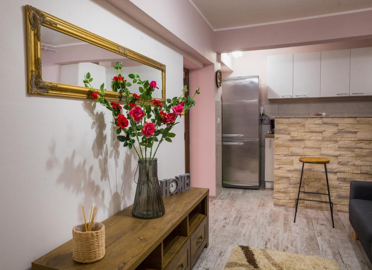 Alpin Central Studio Appartamento Braşov Esterno foto